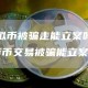 [虚拟币被骗走能立案吗]虚拟货币交易被骗能立案吗