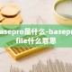 basepro是什么-baseprofile什么意思