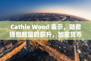 Cathie Wood 表示，随着钱包数量的飙升，加密货币 ETF 将大放异彩