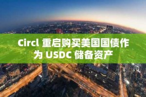 Circl 重启购买美国国债作为 USDC 储备资产