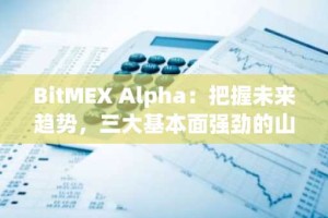 BitMEX Alpha：把握未来趋势，三大基本面强劲的山寨币值得关注