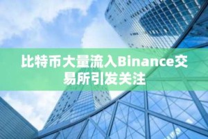 比特币大量流入Binance交易所引发关注