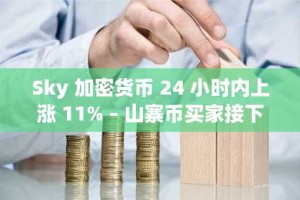 Sky 加密货币 24 小时内上涨 11% – 山寨币买家接下来会做什么？