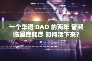 一个华语 DAO 的两年 曾濒临国库耗尽 如何活下来？