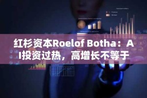 红杉资本Roelof Botha：AI投资过热，高增长不等于成功