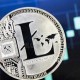 ltc多少枚