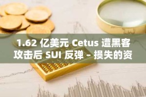 1.62 亿美元 Cetus 遭黑客攻击后 SUI 反弹 – 损失的资金能回本吗？