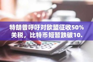 特朗普呼吁对欧盟征收50%关税，比特币短暂跌破10.9万美元后迅速反弹