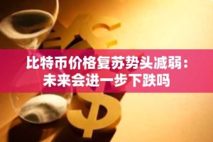 比特币价格复苏势头减弱：未来会进一步下跌吗