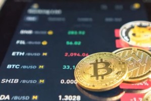 狗狗币如何做慈善?狗狗币如何影响社会?