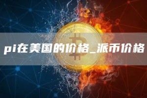 pi在美国的价格_派币价格