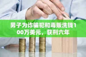 男子为诈骗犯和毒贩洗钱100万美元，获刑六年
