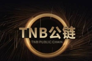 购买比特币国内渠道(购买比特币国内便捷渠道)