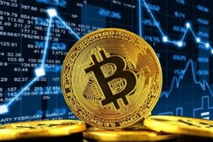 宝贝狗币今日最新价格(宝狗币今日价格最新情况)