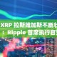 “XRP 拉斯维加斯不断壮大”：Ripple 首席执行官赞扬 XRP 社区的支持