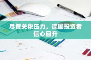 尽管关税压力，德国投资者信心回升