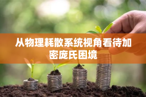 从物理耗散系统视角看待加密庞氏困境