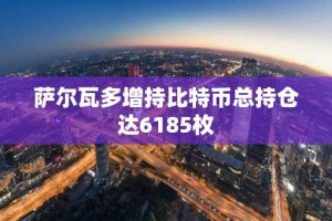 萨尔瓦多增持比特币总持仓达6185枚