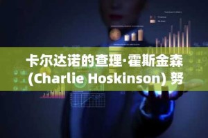 卡尔达诺的查理·霍斯金森 (Charlie Hoskinson) 努力为自己辩护，以对抗诈骗指控