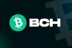 怎么挖bch