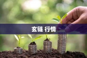 玄链 行情