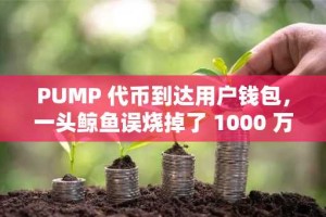 PUMP 代币到达用户钱包，一头鲸鱼误烧掉了 1000 万个代币