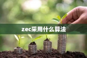 zec采用什么算法