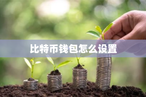 比特币钱包怎么设置