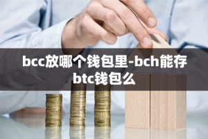 bcc放哪个钱包里-bch能存btc钱包么