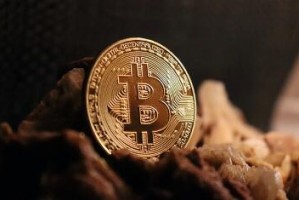 怎么购买OKT币？OKT币官网总量和币种概念介绍