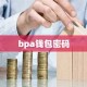 bpa钱包密码