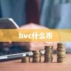 bvc什么币