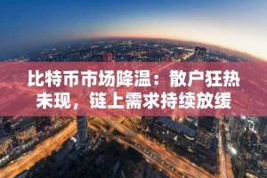比特币市场降温：散户狂热未现，链上需求持续放缓