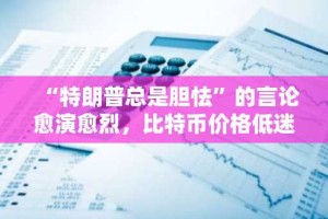 “特朗普总是胆怯”的言论愈演愈烈，比特币价格低迷