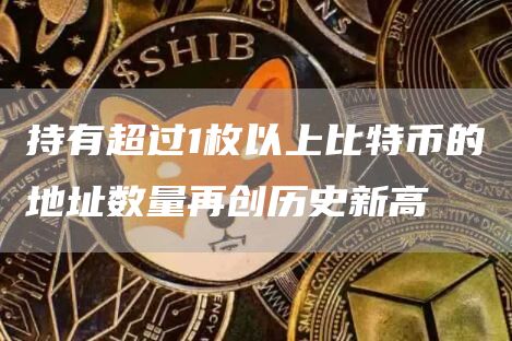 持有超过1枚以上比特币的地址数量再创历史新高1